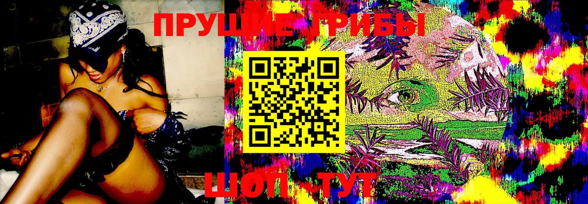 Галлюциногенные грибы прущие грибы  Вход с VPN  Вятские Поляны 