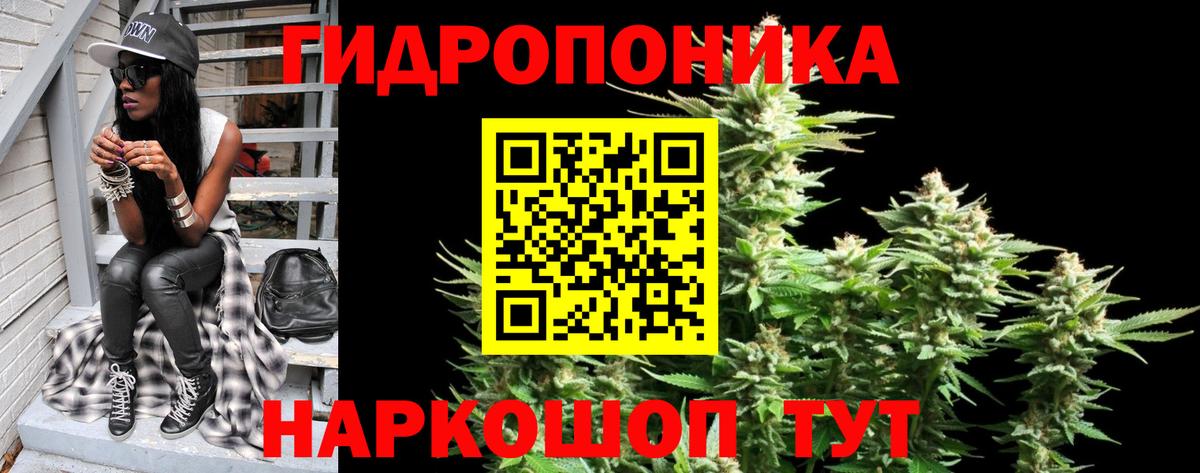 Марихуана план Вятские Поляны